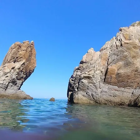Case Vacanze Libellula